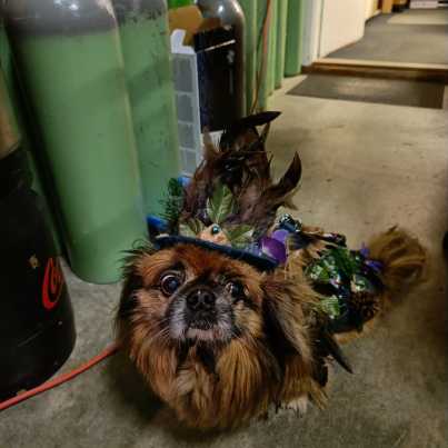 WhatsApp-Image-2024-01-18-at-23.08.25