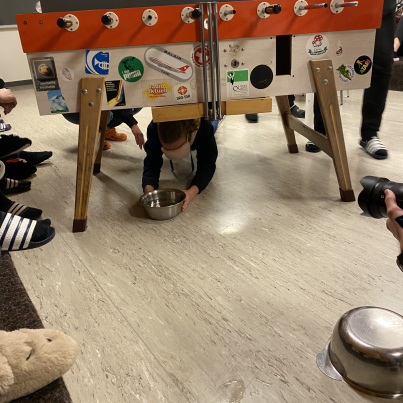 3064272E-927A-47EC-B0AB-3BC4A25BD7FC