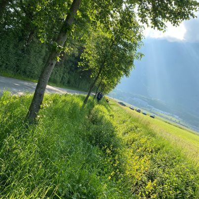 WhatsApp-Image-2023-05-28-at-22.56.04-1